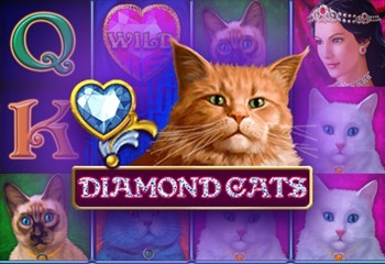 Diamond Cats